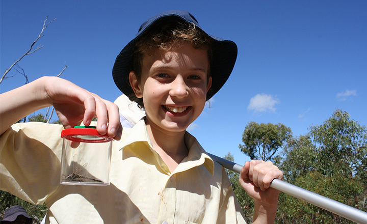 Adelaide private schools students participate in Insect Investigators.