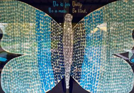 Trinity Gawler River Do it for Dolly Day artwork.