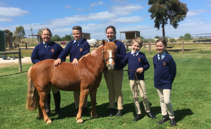 Trinity College students joined in the Horsemanship Program.