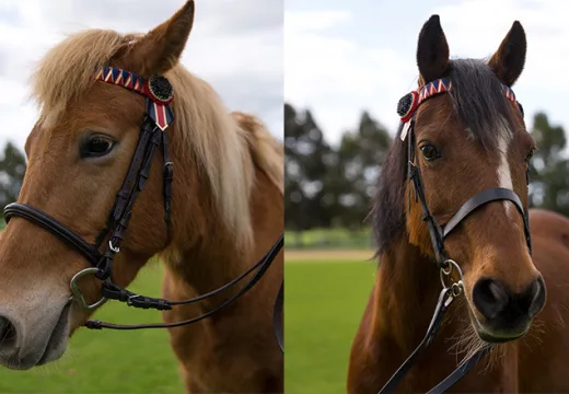 Trinity College Equestrian Centre adelaide private schools