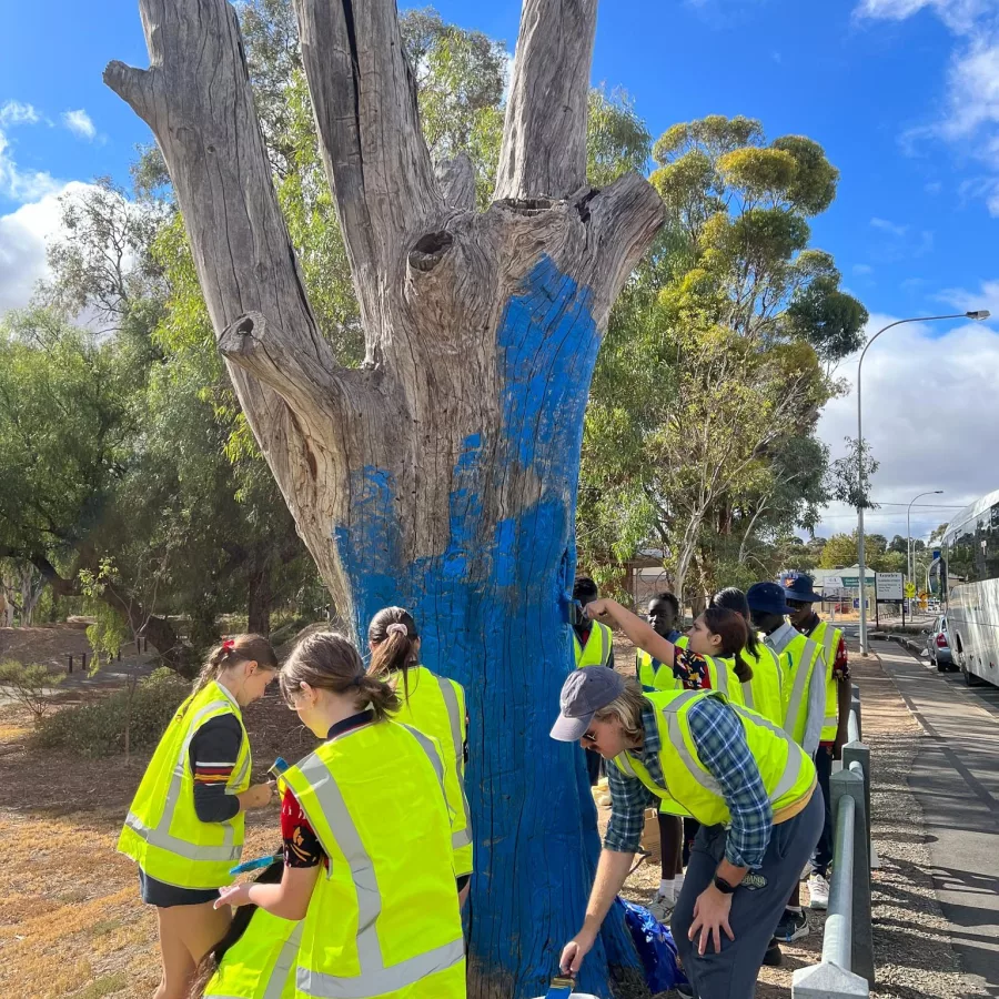 Private school Adelaide Blakeview Students Give Gawler a Blue Tree 02