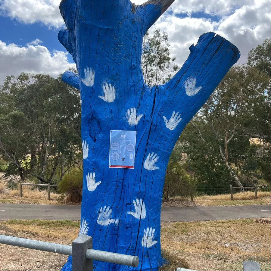 Private school Adelaide Blakeview Students Give Gawler a Blue Tree 05